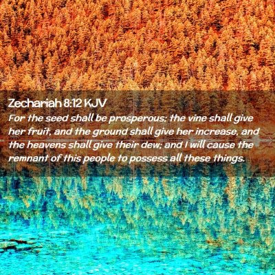 Picture 02 - Zechariah 8:12 KJV - For the seed shall be prosperous; the vine shall - Bible Verse Picture