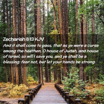 Picture 02 - Zechariah 8:13 KJV - And it shall come to pass, that as ye were a - Bible Verse Picture