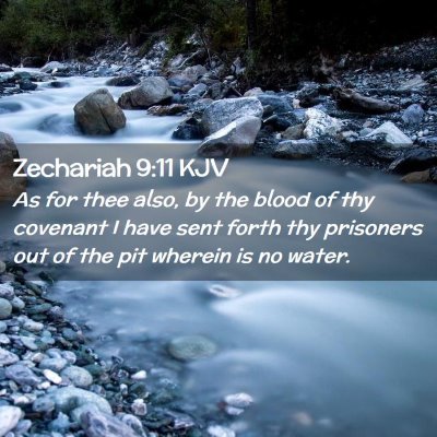 Picture 02 - Zechariah 9:11 KJV - As for thee also, by the blood of thy covenant I - Bible Verse Picture