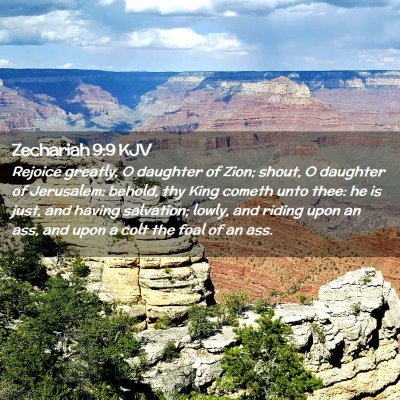 Picture 02 - Zechariah 9:9 KJV - Rejoice greatly, O daughter of Zion; shout, O - Bible Verse Picture
