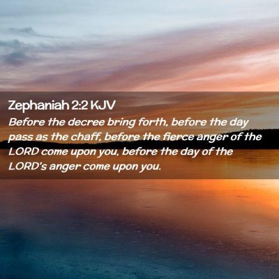 Picture 02 - Zephaniah 2:2 KJV - Before the decree bring forth, before the day - Bible Verse Picture