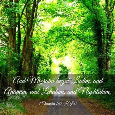 Picture 03 - 1 Chronicles 1:11 KJV - And Mizraim begat Ludim, and Anamim, and Lehabim, - Bible Verse Picture