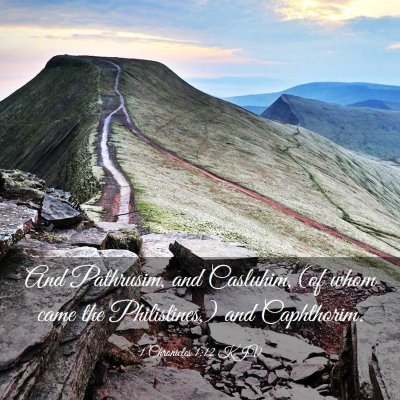 Picture 03 - 1 Chronicles 1:12 KJV - And Pathrusim, and Casluhim, (of whom came the - Bible Verse Picture