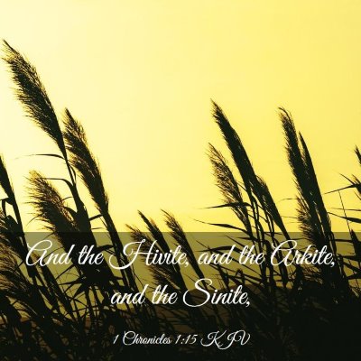 Picture 03 - 1 Chronicles 1:15 KJV - And the Hivite, and the Arkite, and the - Bible Verse Picture