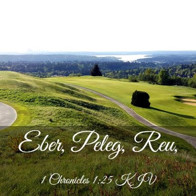Picture 03 - 1 Chronicles 1:25 KJV - Eber, Peleg, - Bible Verse Picture