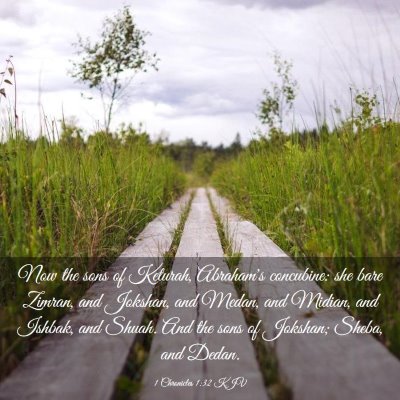 Picture 03 - 1 Chronicles 1:32 KJV - Now the sons of Keturah, Abraham's concubine: she - Bible Verse Picture