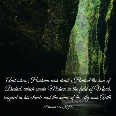 Picture 03 - 1 Chronicles 1:46 KJV - And when Husham was dead, Hadad the son of Bedad, - Bible Verse Picture