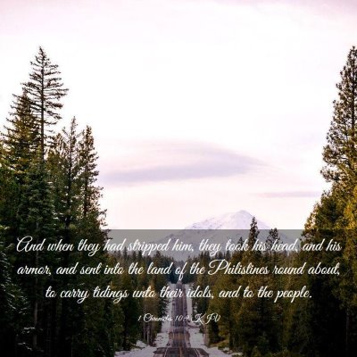 Picture 03 - 1 Chronicles 10:9 KJV - And when they had stripped him, they took his - Bible Verse Picture