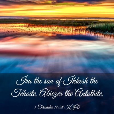 Picture 03 - 1 Chronicles 11:28 KJV - Ira the son of Ikkesh the Tekoite, Abiezer the - Bible Verse Picture