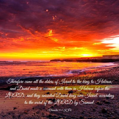 Picture 03 - 1 Chronicles 11:3 KJV - Therefore came all the elders of Israel to the - Bible Verse Picture