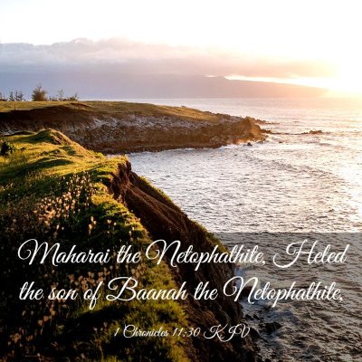 Picture 03 - 1 Chronicles 11:30 KJV - Maharai the Netophathite, Heled the son of Baanah - Bible Verse Picture