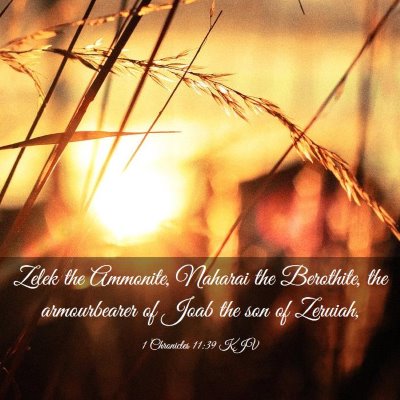 Picture 03 - 1 Chronicles 11:39 KJV - Zelek the Ammonite, Naharai the Berothite, the - Bible Verse Picture