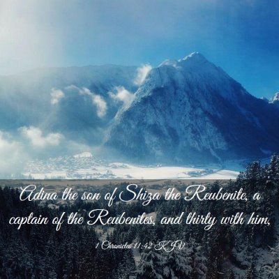 Picture 03 - 1 Chronicles 11:42 KJV - Adina the son of Shiza the Reubenite, a captain - Bible Verse Picture