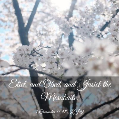 Picture 03 - 1 Chronicles 11:47 KJV - Eliel, and Obed, and Jasiel the - Bible Verse Picture
