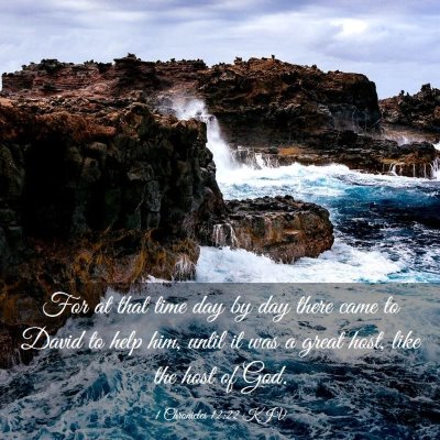 Picture 03 - 1 Chronicles 12:22 KJV - For at that time day by day there came to David - Bible Verse Picture