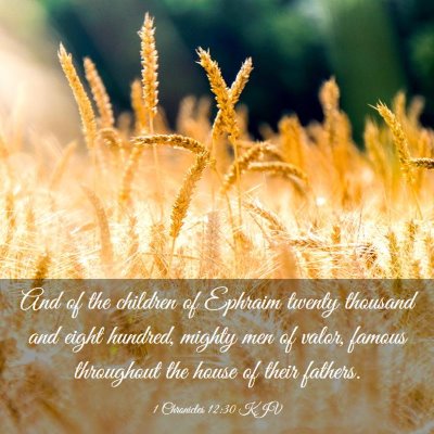 Picture 03 - 1 Chronicles 12:30 KJV - And of the children of Ephraim twenty thousand - Bible Verse Picture