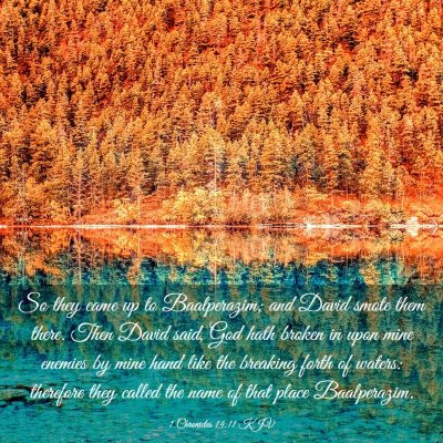 Picture 03 - 1 Chronicles 14:11 KJV - So they came up to Baalperazim; and David smote - Bible Verse Picture