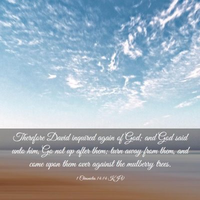Picture 03 - 1 Chronicles 14:14 KJV - Therefore David inquired again of God; and God - Bible Verse Picture