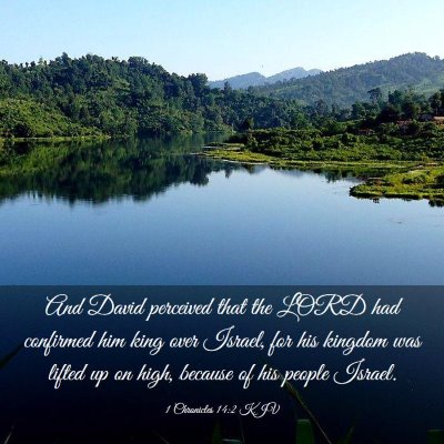 Picture 03 - 1 Chronicles 14:2 KJV - And David perceived that the LORD had confirmed - Bible Verse Picture