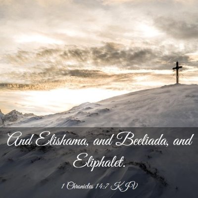 Picture 03 - 1 Chronicles 14:7 KJV - And Elishama, and Beeliada, and - Bible Verse Picture