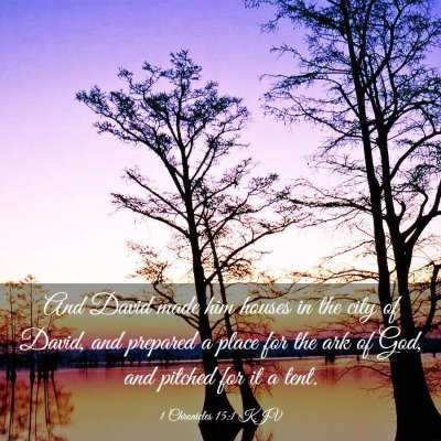 Picture 03 - 1 Chronicles 15:1 KJV - And David made him houses in the city of David, - Bible Verse Picture