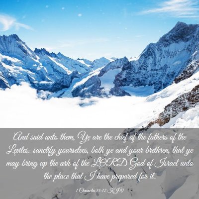 Picture 03 - 1 Chronicles 15:12 KJV - And said unto them, Ye are the chief of the - Bible Verse Picture