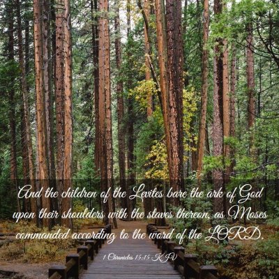 Picture 03 - 1 Chronicles 15:15 KJV - And the children of the Levites bare the ark of - Bible Verse Picture