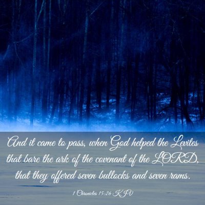 Picture 03 - 1 Chronicles 15:26 KJV - And it came to pass, when God helped the Levites - Bible Verse Picture