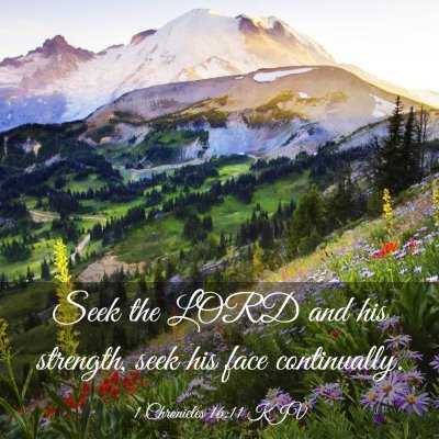 Picture 03 - 1 Chronicles 16:11 KJV - Seek the LORD and his strength, seek his face - Bible Verse Picture