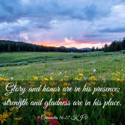 Picture 03 - 1 Chronicles 16:27 KJV - Glory and honor are in his presence; strength and - Bible Verse Picture