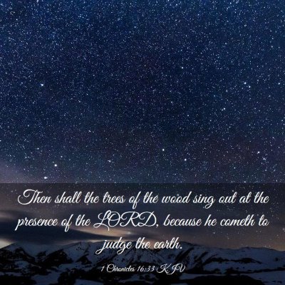 Picture 03 - 1 Chronicles 16:33 KJV - Then shall the trees of the wood sing out at the - Bible Verse Picture