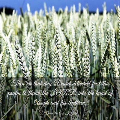 Picture 03 - 1 Chronicles 16:7 KJV - Then on that day David delivered first this psalm - Bible Verse Picture