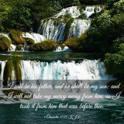Picture 03 - 1 Chronicles 17:13 KJV - I will be his father, and he shall be my son: and - Bible Verse Picture