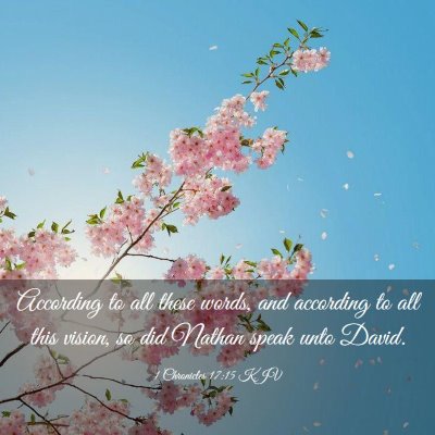 Picture 03 - 1 Chronicles 17:15 KJV - According to all these words, and according to - Bible Verse Picture