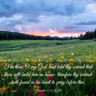 Picture 03 - 1 Chronicles 17:25 KJV - For thou, O my God, hast told thy servant that - Bible Verse Picture