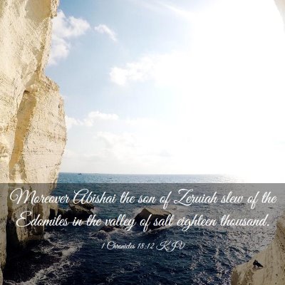 Picture 03 - 1 Chronicles 18:12 KJV - Moreover Abishai the son of Zeruiah slew of the - Bible Verse Picture