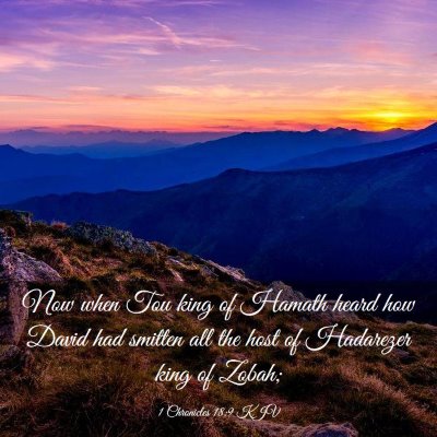 Picture 03 - 1 Chronicles 18:9 KJV - Now when Tou king of Hamath heard how David had - Bible Verse Picture