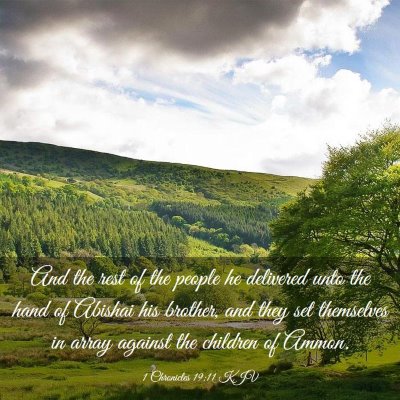 Picture 03 - 1 Chronicles 19:11 KJV - And the rest of the people he delivered unto the - Bible Verse Picture