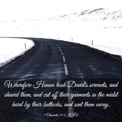 Picture 03 - 1 Chronicles 19:4 KJV - Wherefore Hanun took David's servants, and shaved - Bible Verse Picture