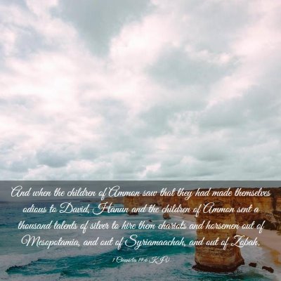 Picture 03 - 1 Chronicles 19:6 KJV - And when the children of Ammon saw that they had - Bible Verse Picture