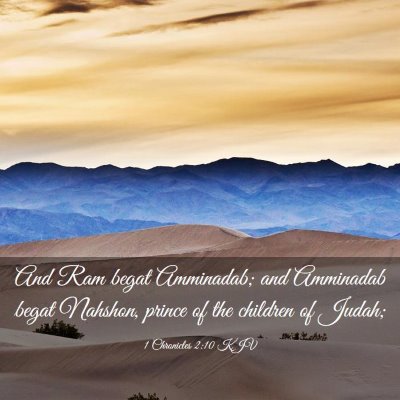 Picture 03 - 1 Chronicles 2:10 KJV - And Ram begat Amminadab; and Amminadab begat - Bible Verse Picture