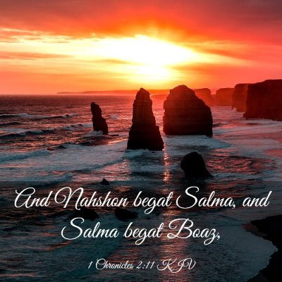 Picture 03 - 1 Chronicles 2:11 KJV - And Nahshon begat Salma, and Salma begat - Bible Verse Picture