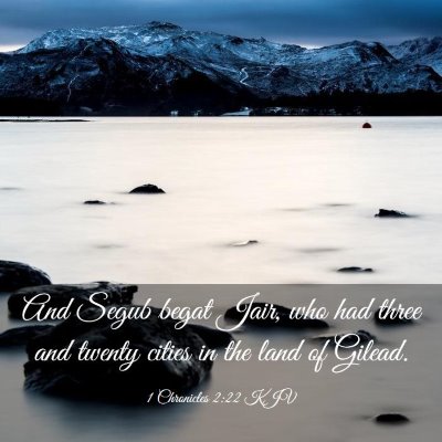 Picture 03 - 1 Chronicles 2:22 KJV - And Segub begat Jair, who had three and twenty - Bible Verse Picture