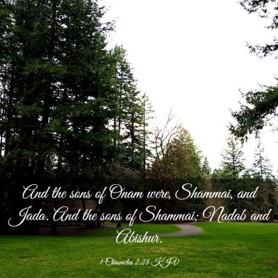Picture 03 - 1 Chronicles 2:28 KJV - And the sons of Onam were, Shammai, and Jada. And - Bible Verse Picture