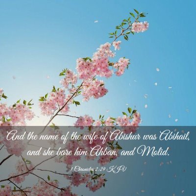 Picture 03 - 1 Chronicles 2:29 KJV - And the name of the wife of Abishur was Abihail, - Bible Verse Picture
