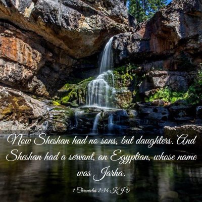 Picture 03 - 1 Chronicles 2:34 KJV - Now Sheshan had no sons, but daughters. And - Bible Verse Picture