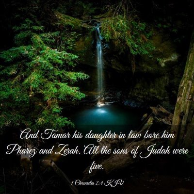 Picture 03 - 1 Chronicles 2:4 KJV - And Tamar his daughter in law bore him Pharez and - Bible Verse Picture