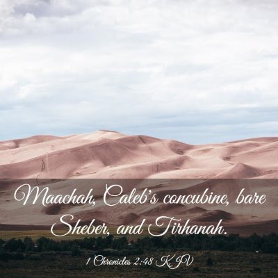 Picture 03 - 1 Chronicles 2:48 KJV - Maachah, Caleb's concubine, bare Sheber, and - Bible Verse Picture