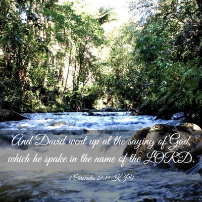 Picture 03 - 1 Chronicles 21:19 KJV - And David went up at the saying of Gad, which he - Bible Verse Picture