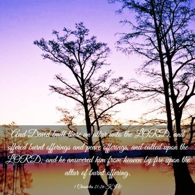 Picture 03 - 1 Chronicles 21:26 KJV - And David built there an altar unto the LORD, and - Bible Verse Picture
